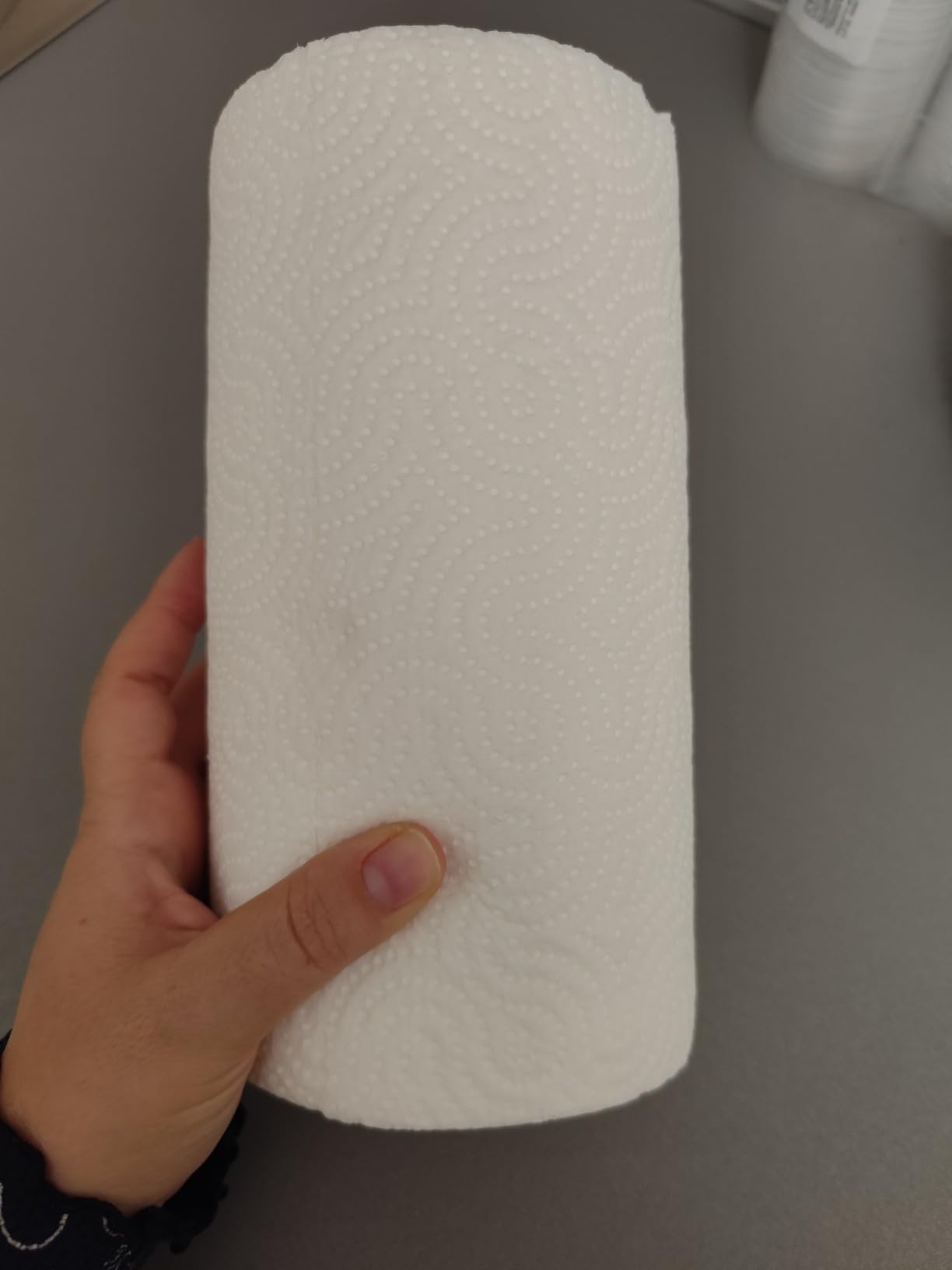 Renova Kitchen Roll MAX ABSORPTION EXTRA XXL Küchenrolle, 1 Rolle, 120 Blatt