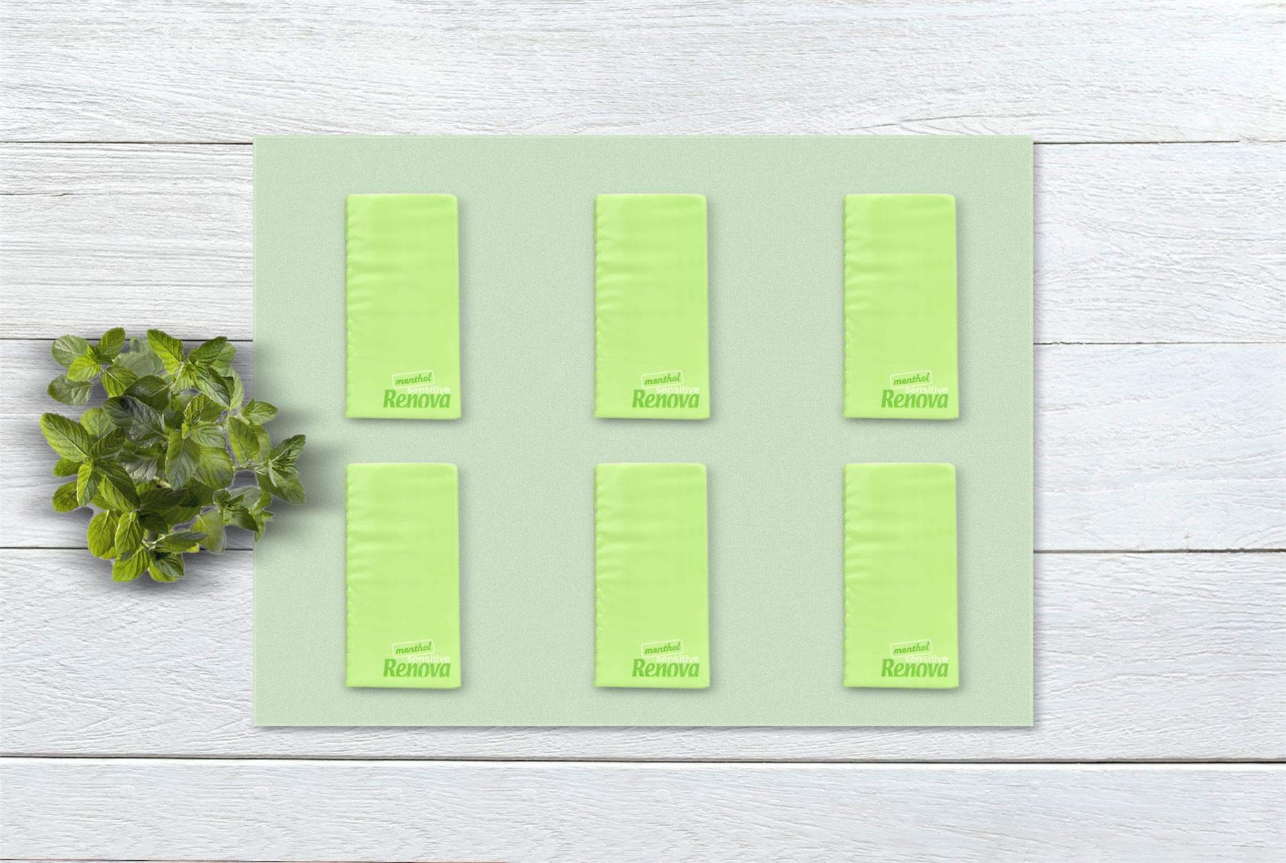 Renova Tissues SENSITIVE MENTHOL Pocket Tissues 6 Packs, weiß