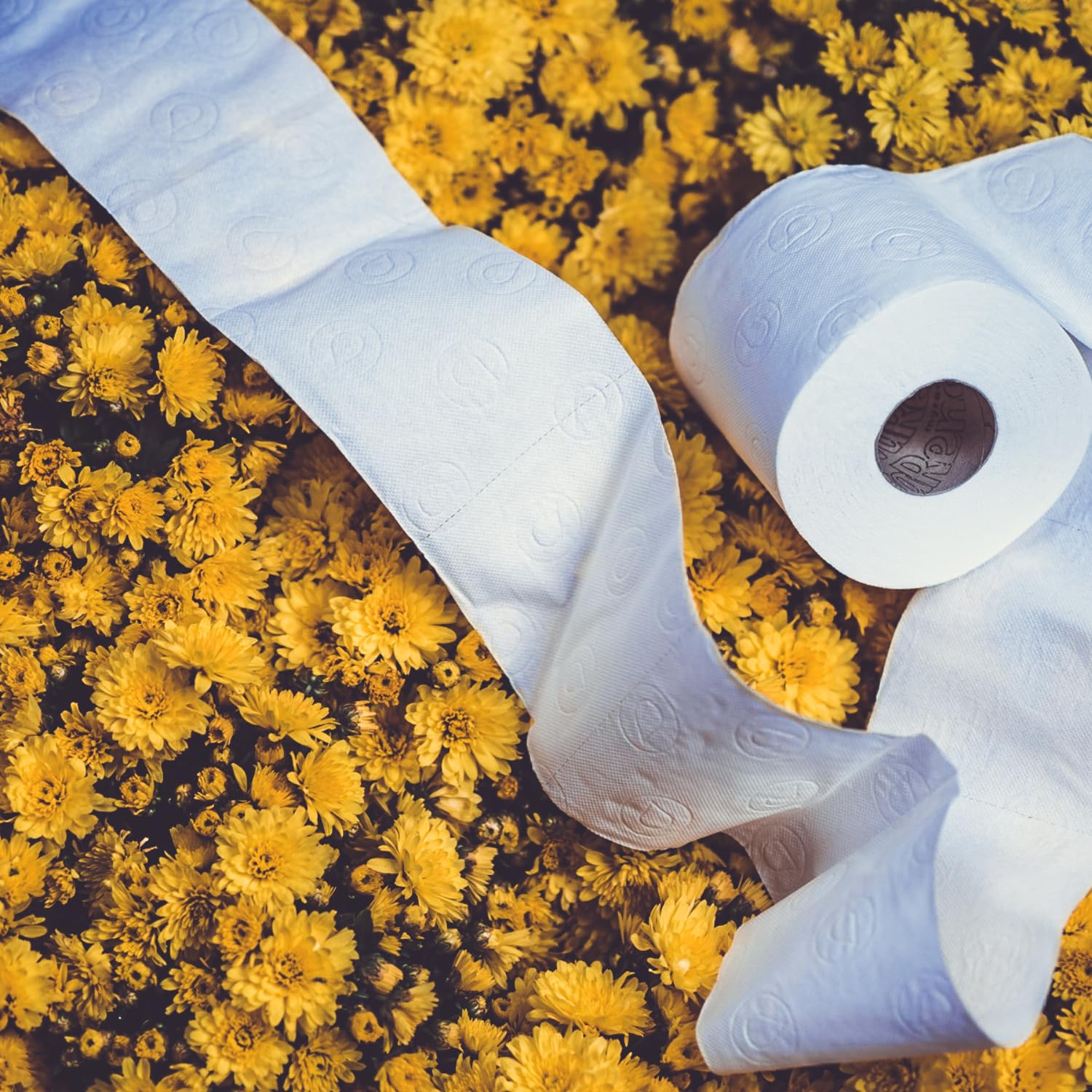 Renova Ultra Fort Toilettenpapier 4 Rollen, weiß und 4-lagig