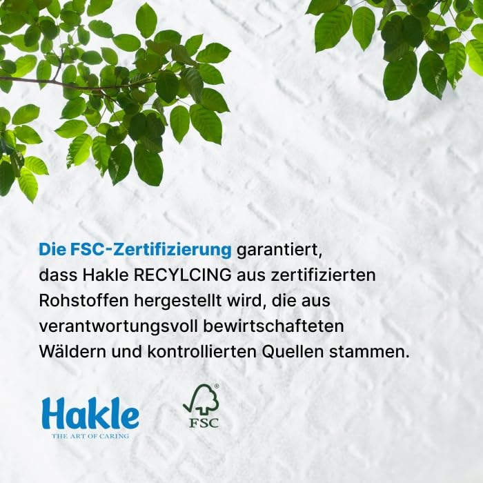 Hakle Recycling Toilettenpapier 80 Rollen 4-lagig Altpapier
