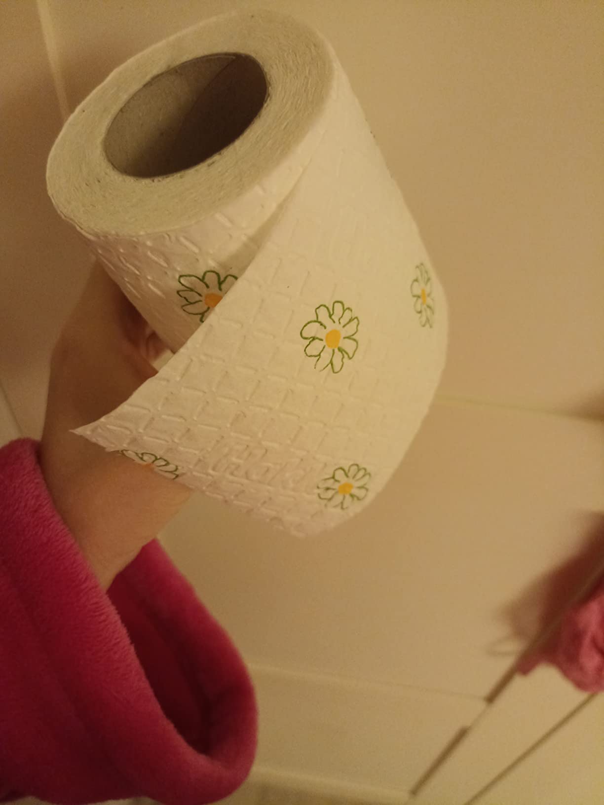 Hakle Kamille Toilettenpapier 24 Rollen, mit Aloe Vera