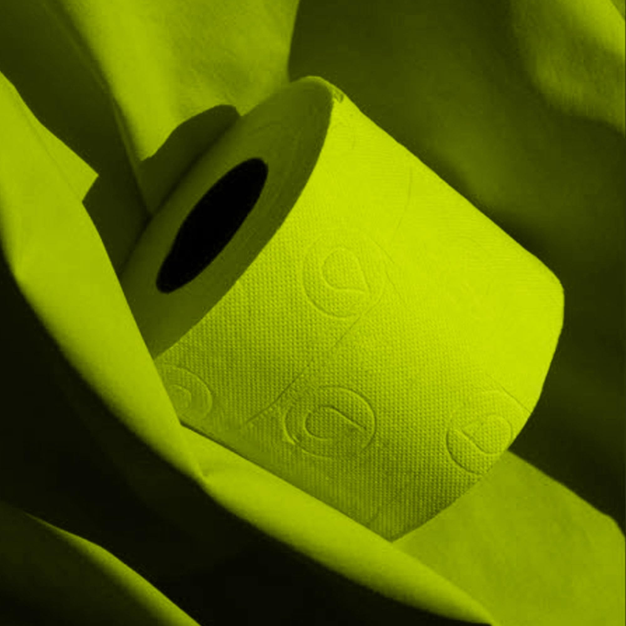 Renova Toilet Paper GREEN Toilettenpapier 6 Rollen, parfümiert