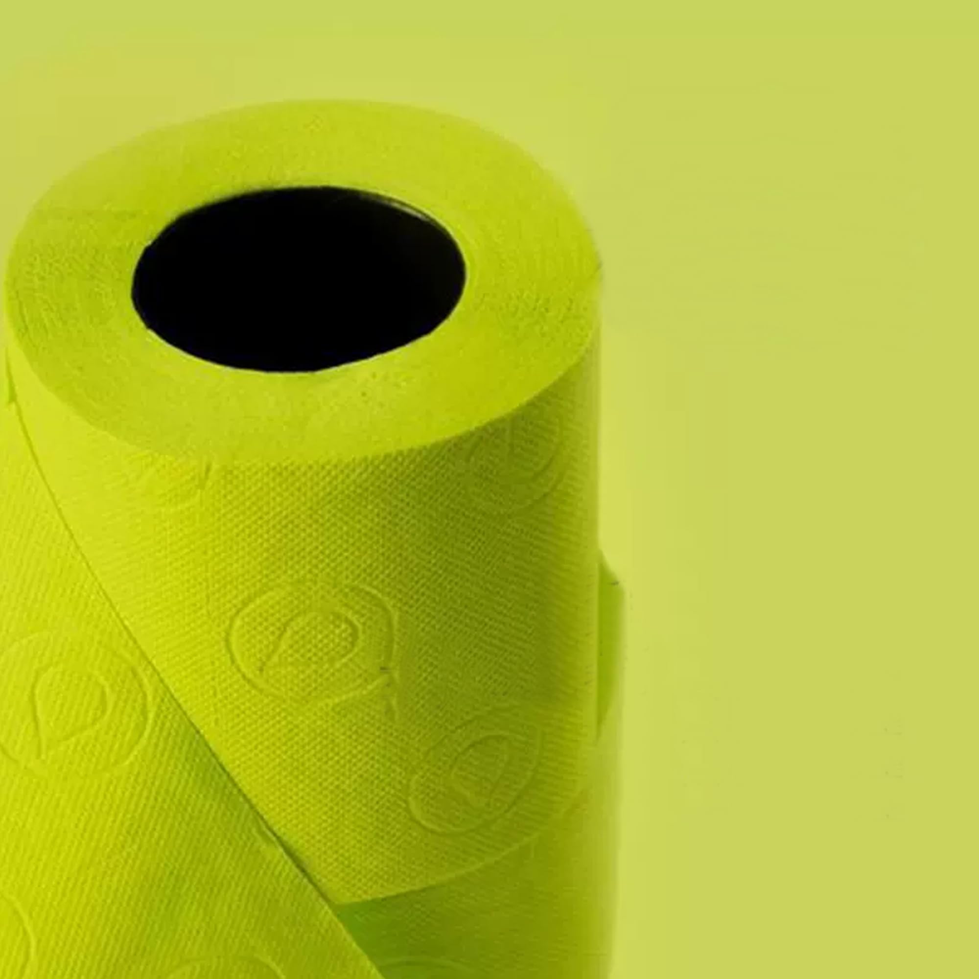 Renova Toilet Paper GREEN Toilettenpapier 6 Rollen, parfümiert