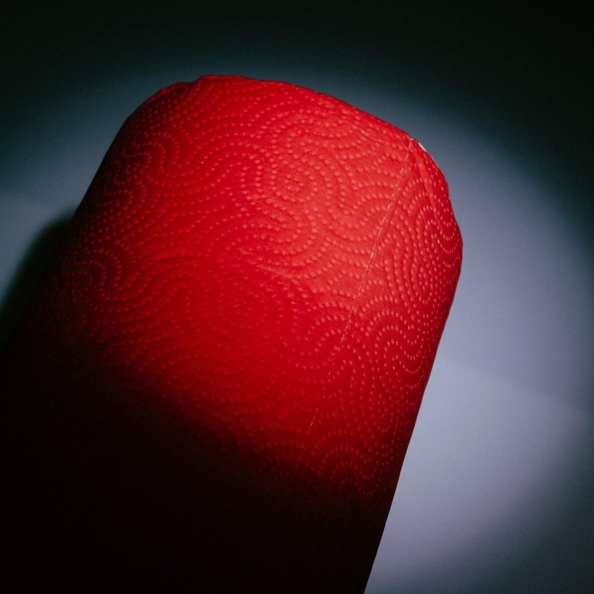 Renova Kitchen Roll RED Küchenrolle rot, 1 Rolle, 120 Blatt