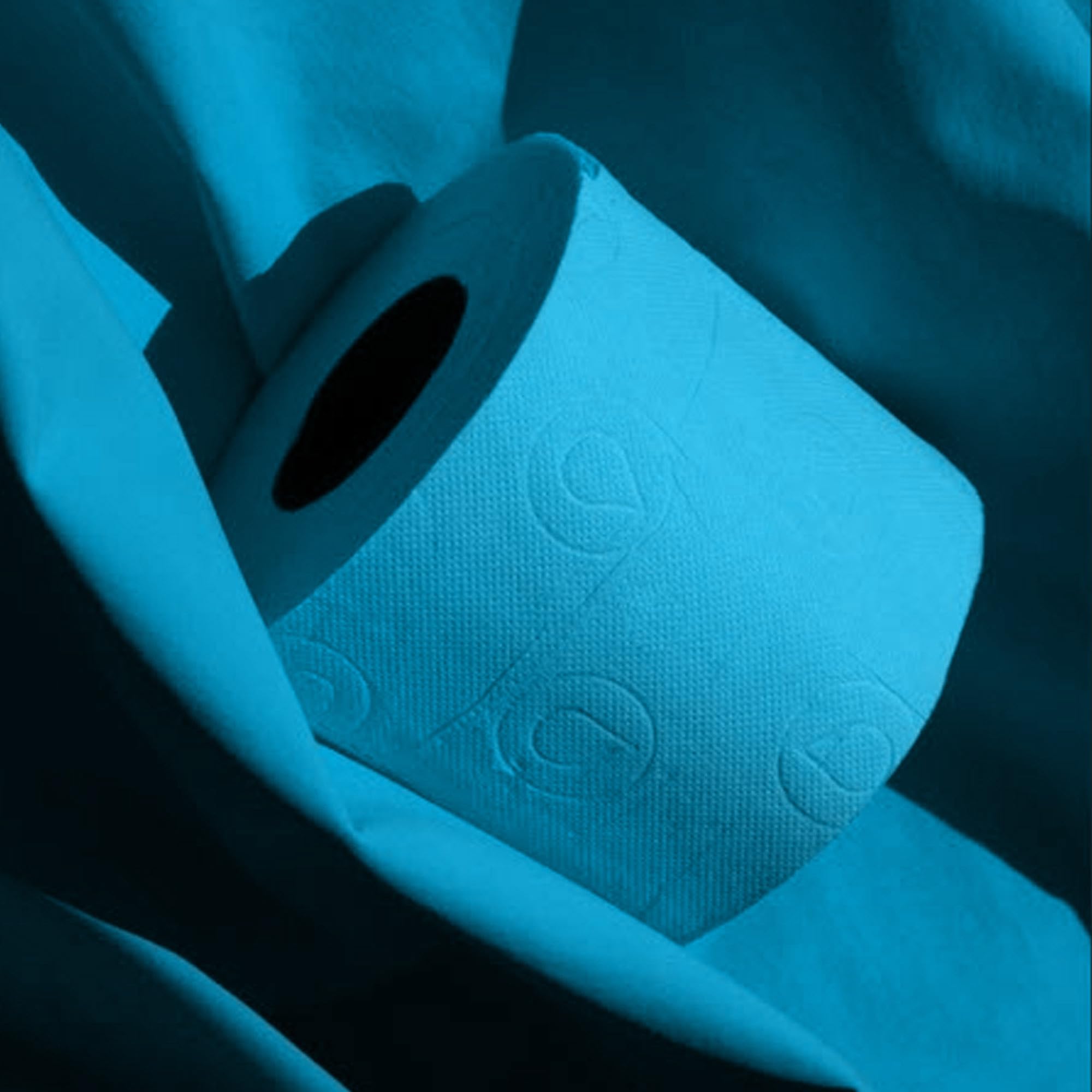 Renova Blue Toilettenpapier 6 Rollen, blau und 3-lagig