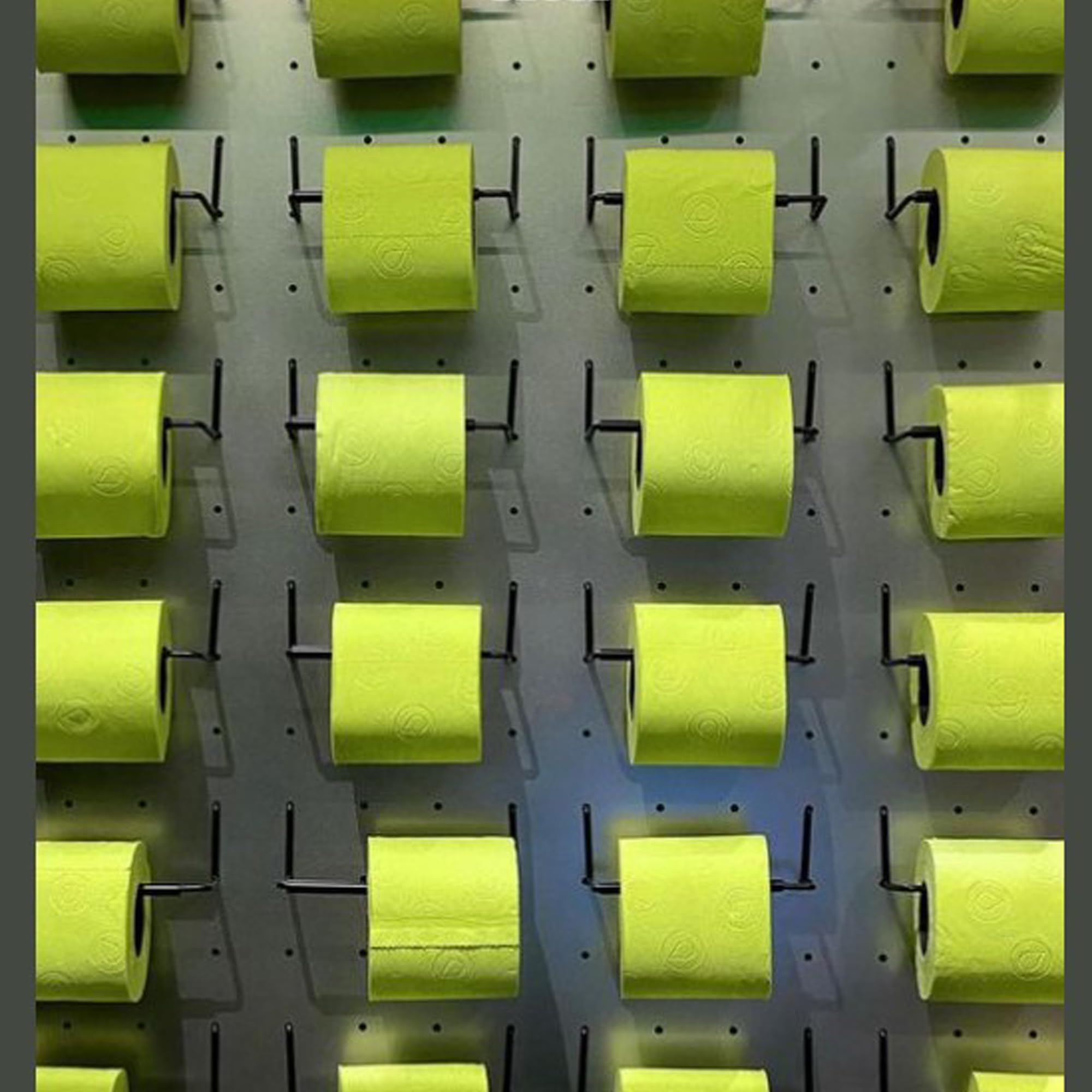 Renova Toilet Paper GREEN Toilettenpapier 6 Rollen, parfümiert