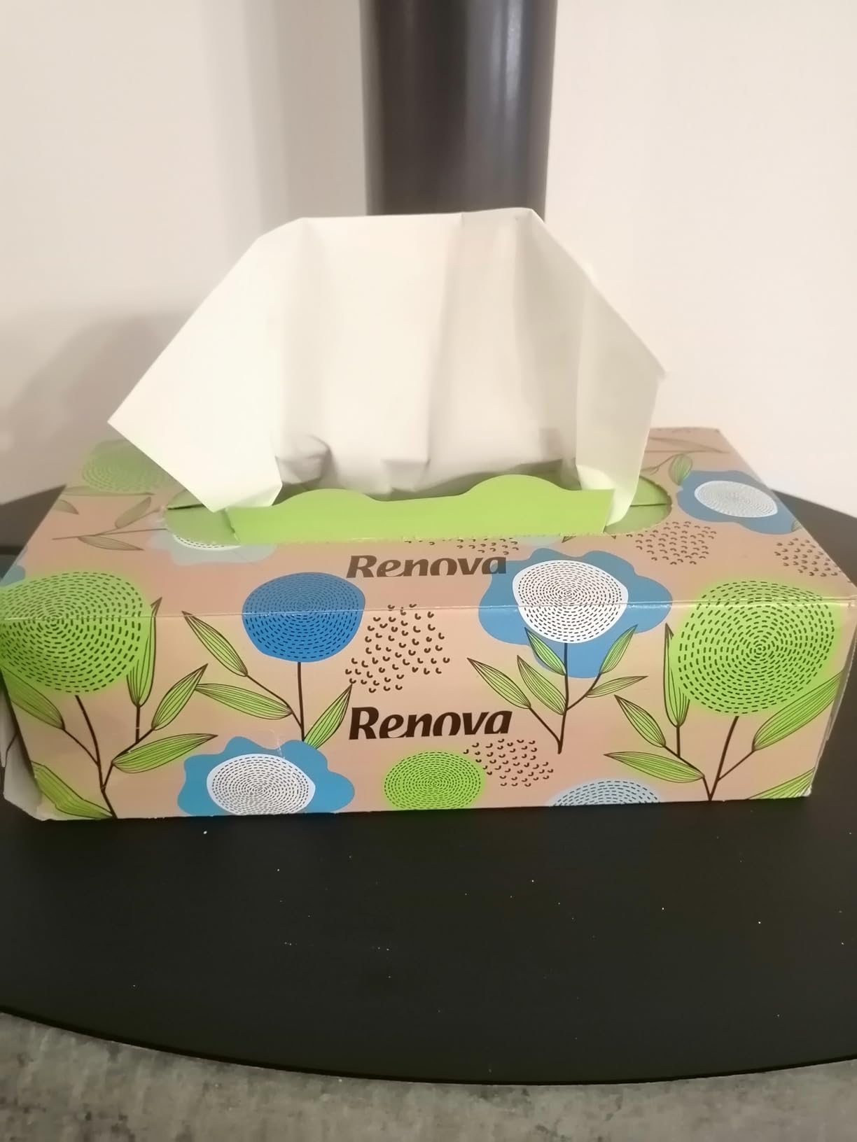 Renova Tissues 100% RECYCLED Taschentücher 70er Pack, 100 % Recyclingpapier