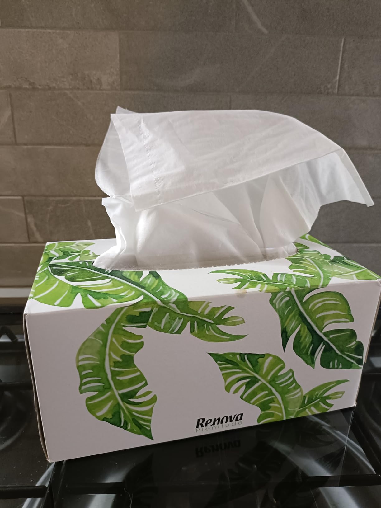 Renova Tissues Face Taschentücher 1 Stück, 200 Blatt weiß unparfümiert