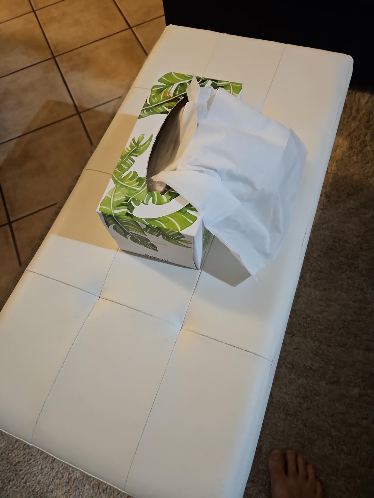 Renova Tissues Face Taschentücher 1 Stück, 200 Blatt weiß unparfümiert
