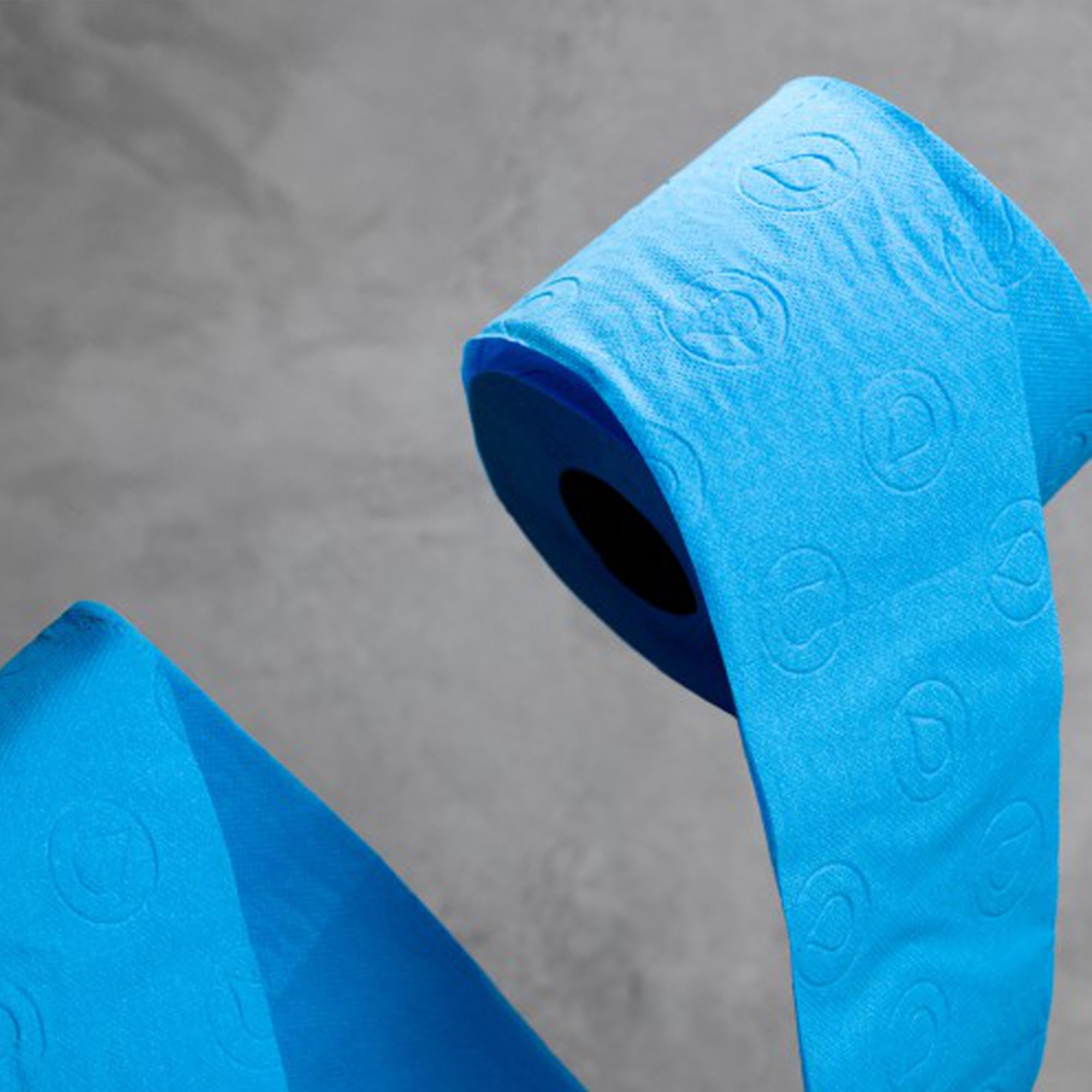 Renova Blue Toilettenpapier 6 Rollen, blau und 3-lagig